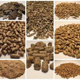  Корма для с/х животных и птиц 