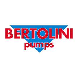 Запчасти для насосов Bertolini  